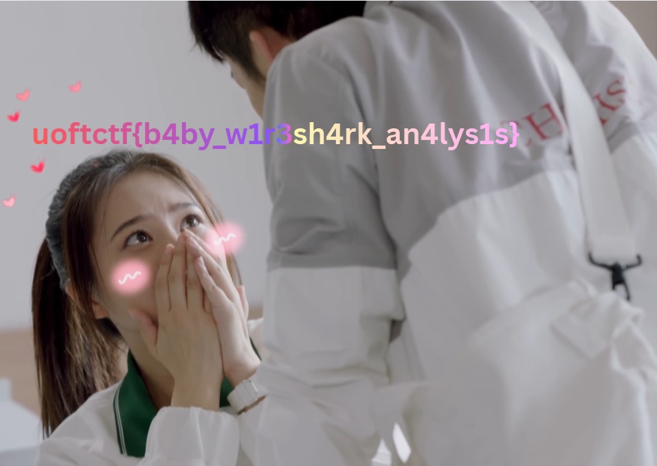 Recovered image containing the flag